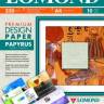 Дизайнерская бумага Lomond Папирус (Papyrus), Матовая, A4, 230 г/м2, 10 листов. 0929041